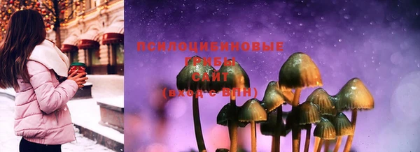 скорость Няндома
