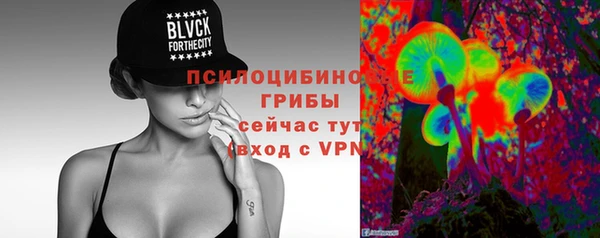 тгк Нязепетровск
