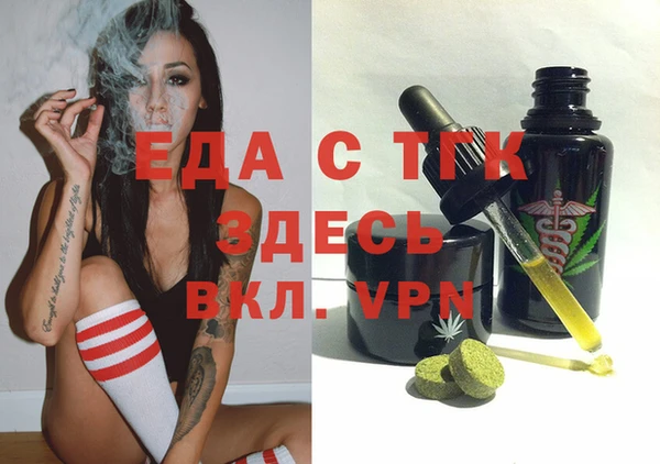 СК Новозыбков