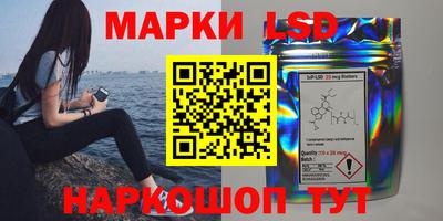 амф Гатчина