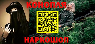 амф Гатчина