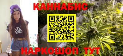 тгк Гай
