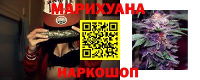 тгк Гай