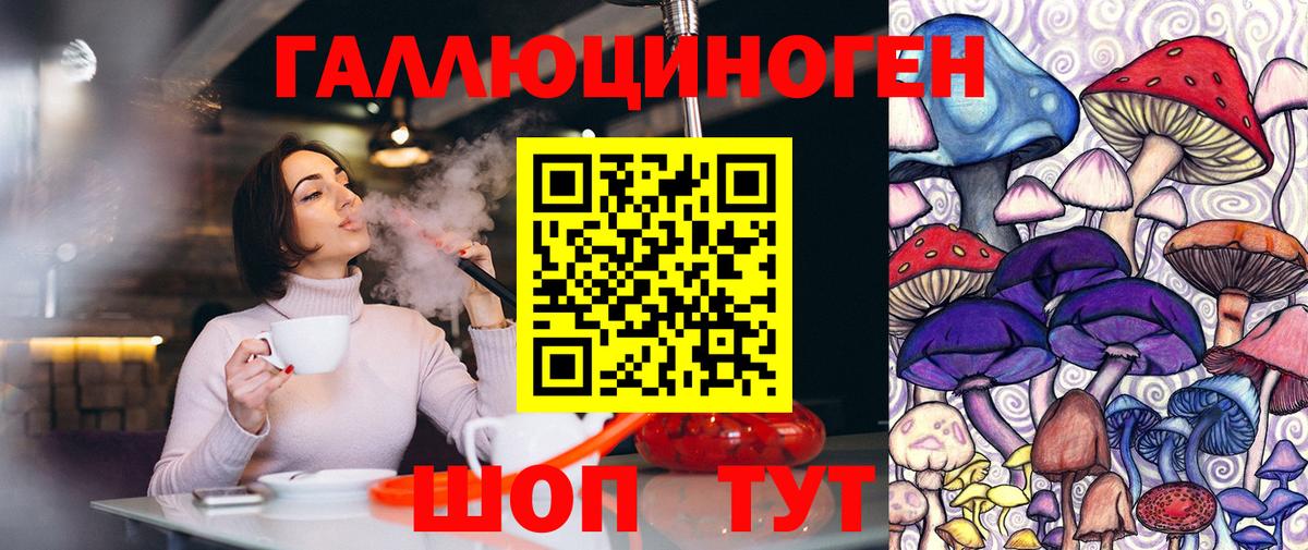 Псилоцибиновые грибы прущие грибы  Псилоцибиновые грибы Psilocybe  Истра 