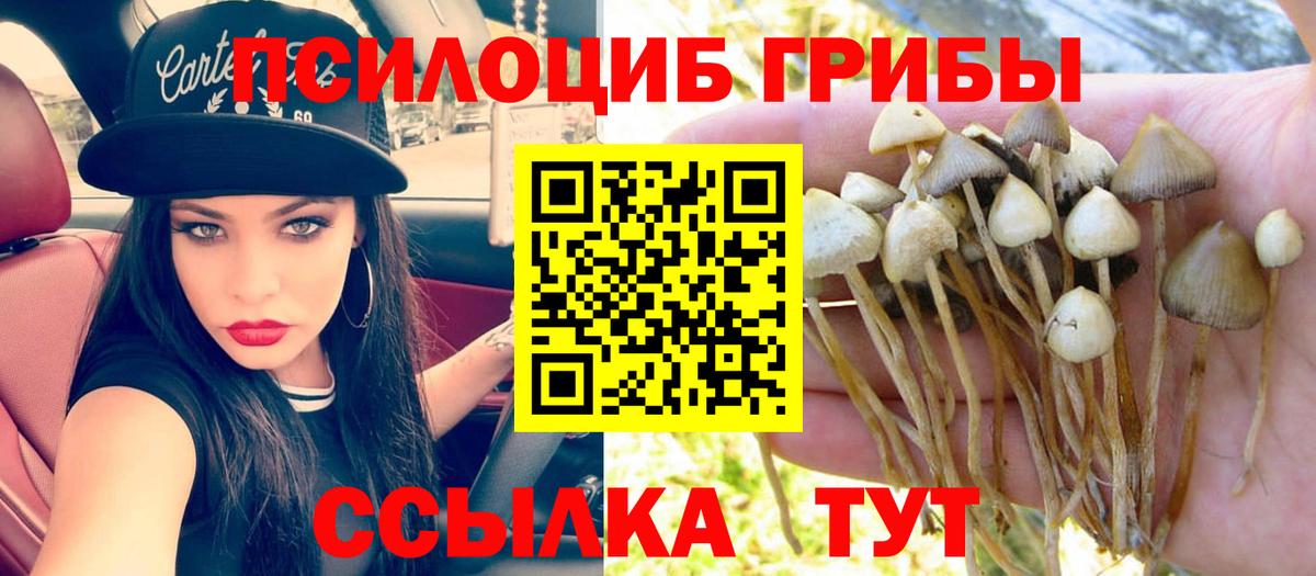 Истра  Псилоцибиновые грибы ЛСД  где можно купить наркотик  Вход с VPN 