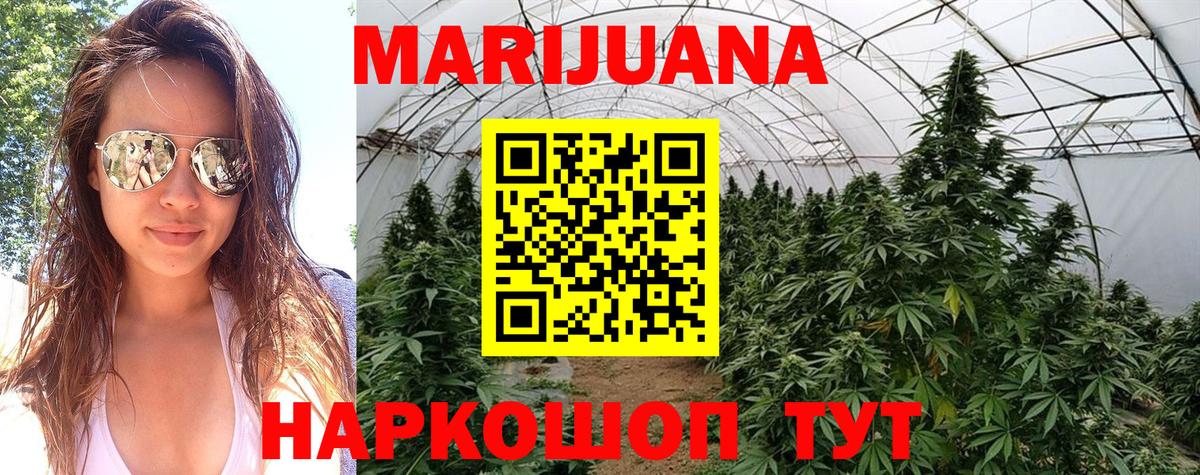 Каннабис SATIVA & INDICA Истра