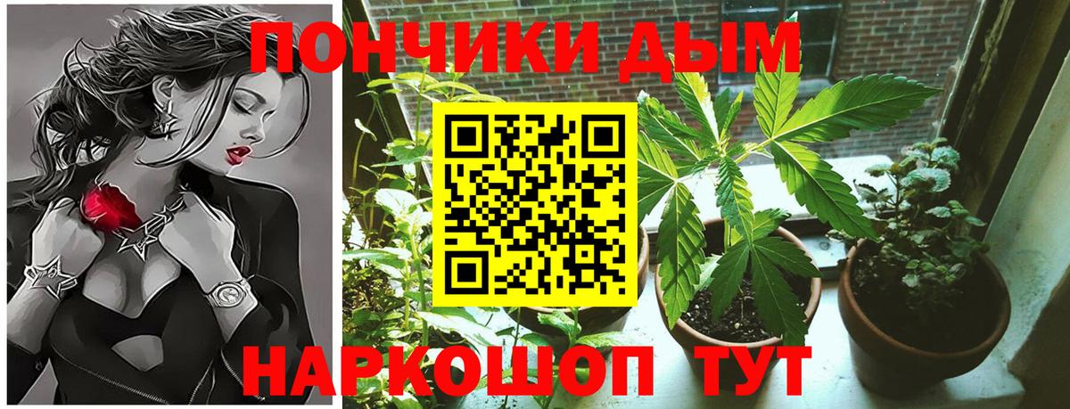 Бошки Шишки MAZAR  Бошки марихуана конопля  Истра  Вход с VPN  Конопля White Widow 